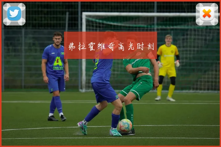 弗拉霍维奇高光时刻